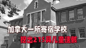 运费也太贵了吧 买一堆日用品来加拿大值得吗 巨型网购开箱 平价购物清单 无限回购单品 儿童饰品 膜拜祖国工厂的做工 价格这么便宜商家不赔钱吗